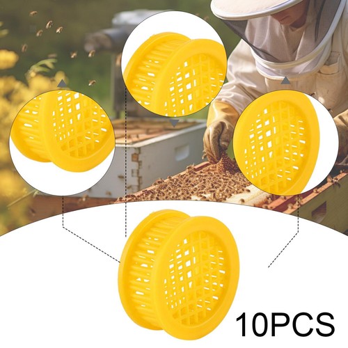 10pcs königin bee - königin, käfige