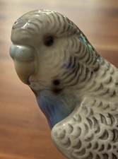 Goebel Wellensittich Blau Budgie Porzellan Figur Vogel W-Germany