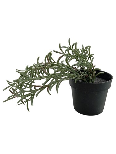 Ikea fejka künstliche - ikea,