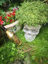 Steinfigur skull schädel totenkopf -PFLANZKOPF