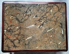 2 x Ronald Schmitt Couchtische 'Fossilien'  1980er Jahre 133 x 103 / 70 x 70 CM