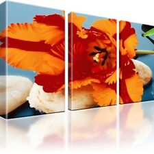 Tulpe Blume Bilder auf Leinwand Fotodruck Dreiteilige Wandbilder