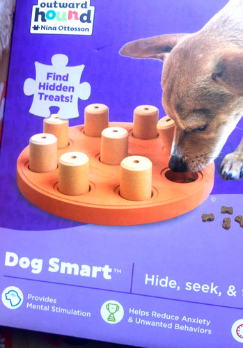 Dog smart nina - smart, ottosson