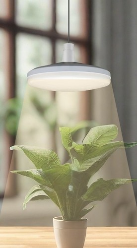 Bioledex goleaf led - goleaf,