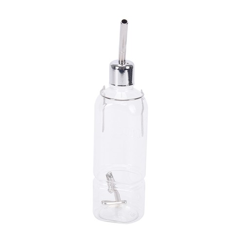 Haustier ratte wasser - haustier,