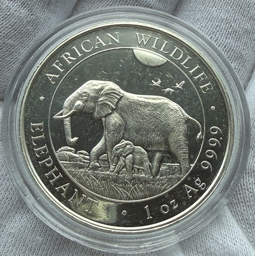 Somalia 100 shillings - somalia,