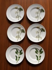 Dibbern herbaticum teller - herbaticum, 19