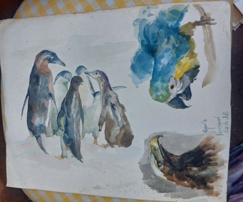 Original aquarell zeichnung - original,