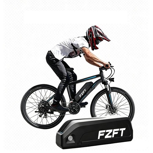 Fzft akku batterie 48v - akku, 20ah