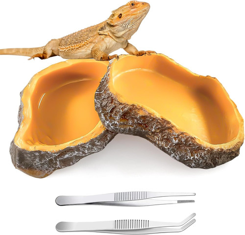 Reptilien wasserschale set - reptilien,