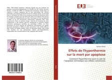 Aymeric Morlé | Effets de