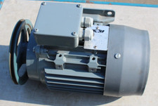 Wolf Elektromotor UD100LB 3 KW  6.7/3.9A  1420 Min-1 mit Riemenscheibe 180