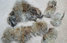 Echt Pelz Reste Basteln Kojote