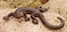 Eidechse metallfigur gecko - eidechse,