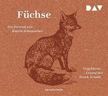 Füchse ein portrait - füchse.,
