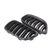 Carbon Front Grill Nieren