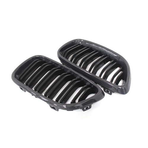 Carbon front grill - grill, nieren