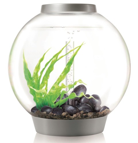 Biorb nano aquarium - biorb, nano-aquarium