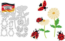Blumen-Marienkäfer