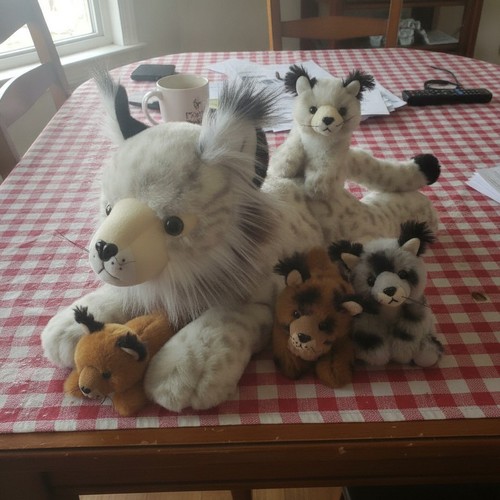 Xxl luchs kuscheltier - xxl,