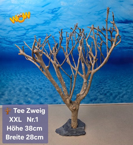 Xxl tee strauch auf - xxl,