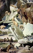 Künstler Ak de Bruycker