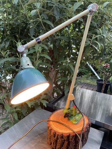 Alte midgard gelenk lampe - gelenk,