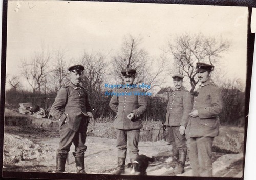 Foto wohl 123