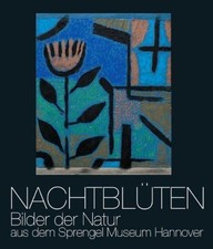 Nachtblüten: Bilder der Natur