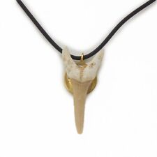Haifischzahn versteinert als Anhänger, Band, Marokko, Zahn, AH5