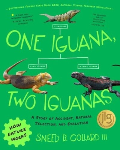 One iguana two - one,
