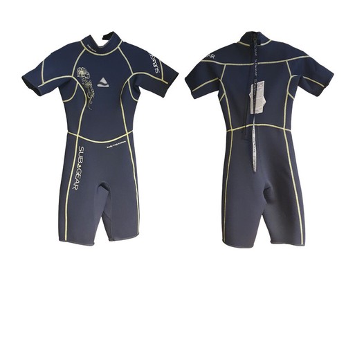 Subgear definition nassanzug - definition,