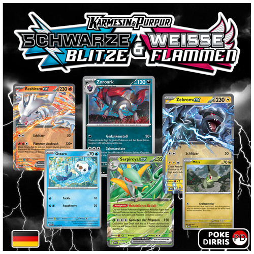 Pokemon schwarze blitze - pokemon,