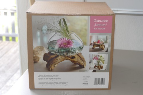 Glasvase natura auf wurzel - auf,