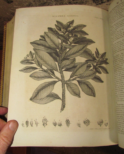 1797 encyclopaedia britannica - encyclopaedia,