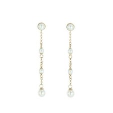 Skagen Damen Ohrringe