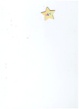 Original Ebay Stern - Magnet