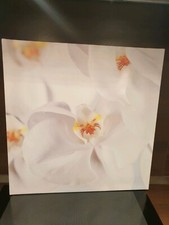 3 leinwandbilder Mit Orchidee