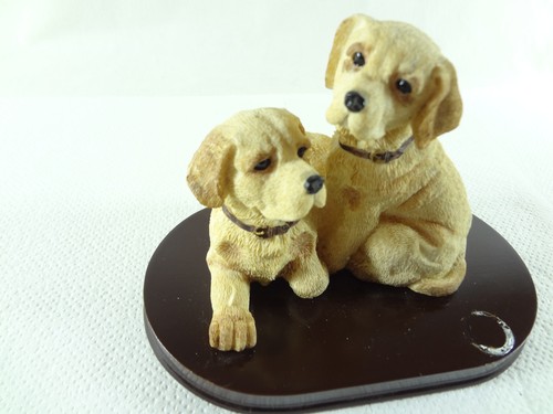 Hund labrador golden retriever - hund,