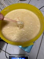 12,5 kg Honig Rapshonig