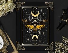 Echte Totenkopfmotte Acherontia atropos in Barock Bilderrahmen Gold Gothic Style