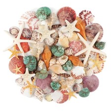 Meeresmuscheln 70-teiliges