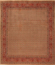 Orientteppich Echter