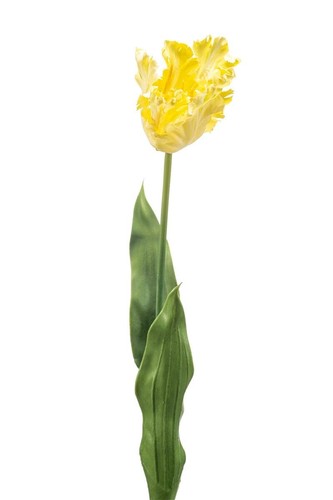 Artplants kunstblume - artplants,