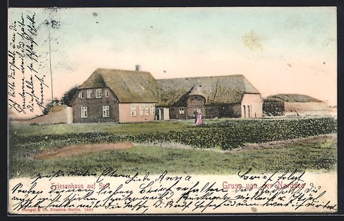 Ansichtskarte insel sylt - insel,
