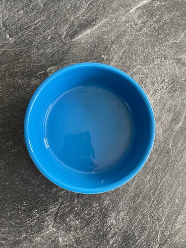 Keramik napf für - keramik, katzen