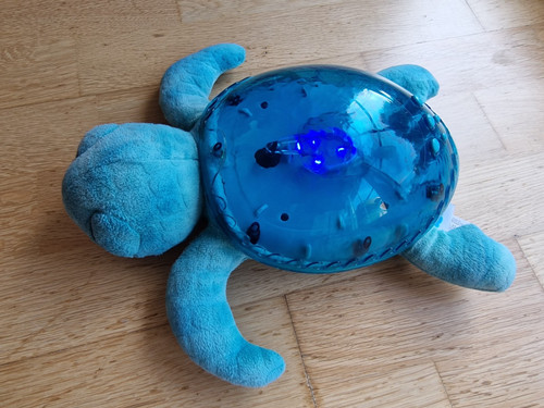 Cloud schildkröte blau - schildkröte,
