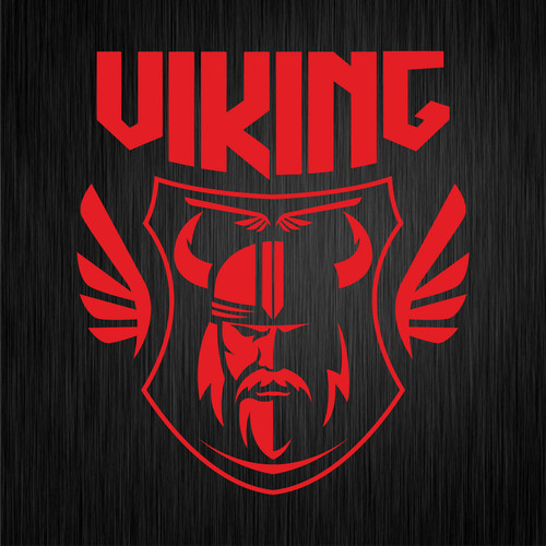 Viking wikinger valhalla odin - viking,