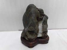 Suiseki Bonseki Bonsai