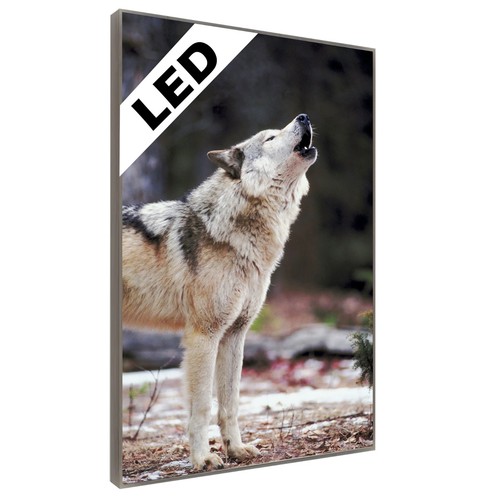 Led wandbild heulender wolf - led,
